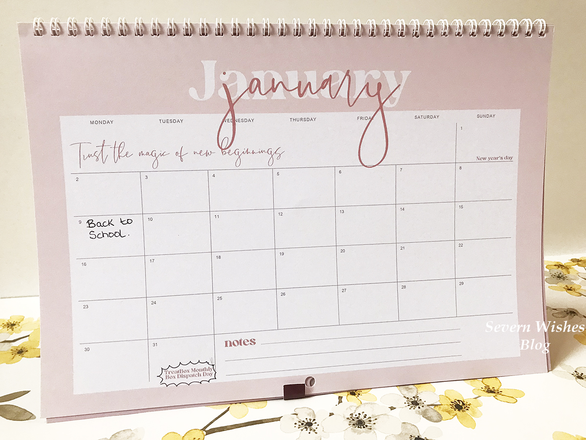 January 2023 Treatbox Reveal and Review | Severn Wishes Blog